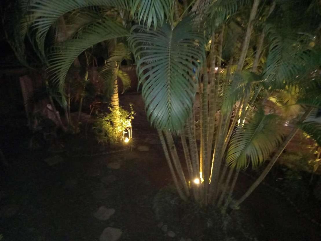 Oasis Palms Hotel นาดี ภายนอก รูปภาพ